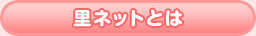 里ネットとは