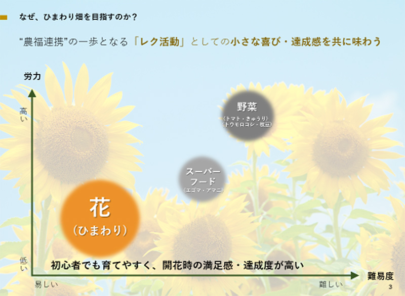 なぜひまわり畑を目指すのか?